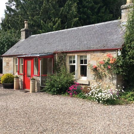 Annslea Garden Cottage بيتلوكري المظهر الخارجي الصورة